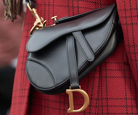 dior saddle bag dior